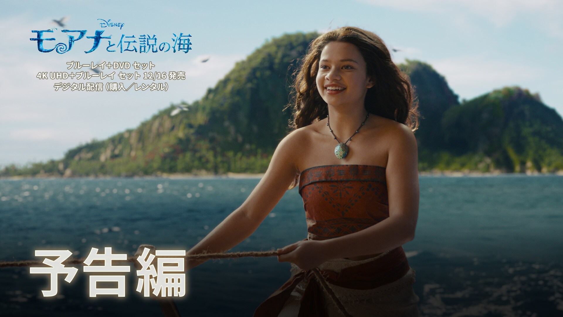 「モアナと伝説の海」12/16 ブルーレイ/DVD/4K UHD発売 | デジタル配信(購入/レンタル)