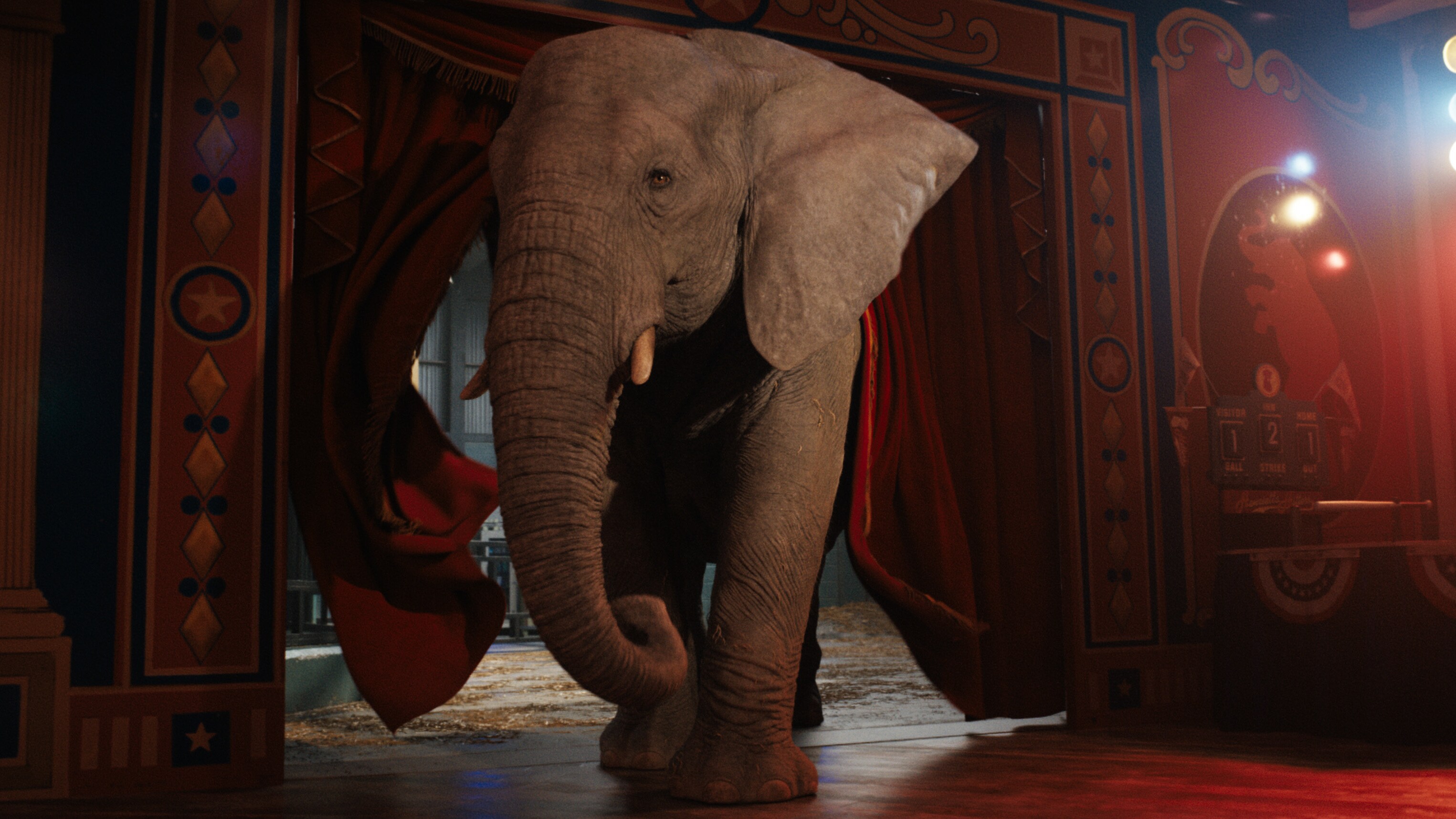 Stella (voiced by Angelina Jolie) in Disney’s THE ONE AND ONLY IVAN, based on the award-winning book by Katherine Applegate and directed by Thea Sharrock. Photo courtesy of Disney. © 2020 Disney Enterprises, Inc. All Rights Reserved.