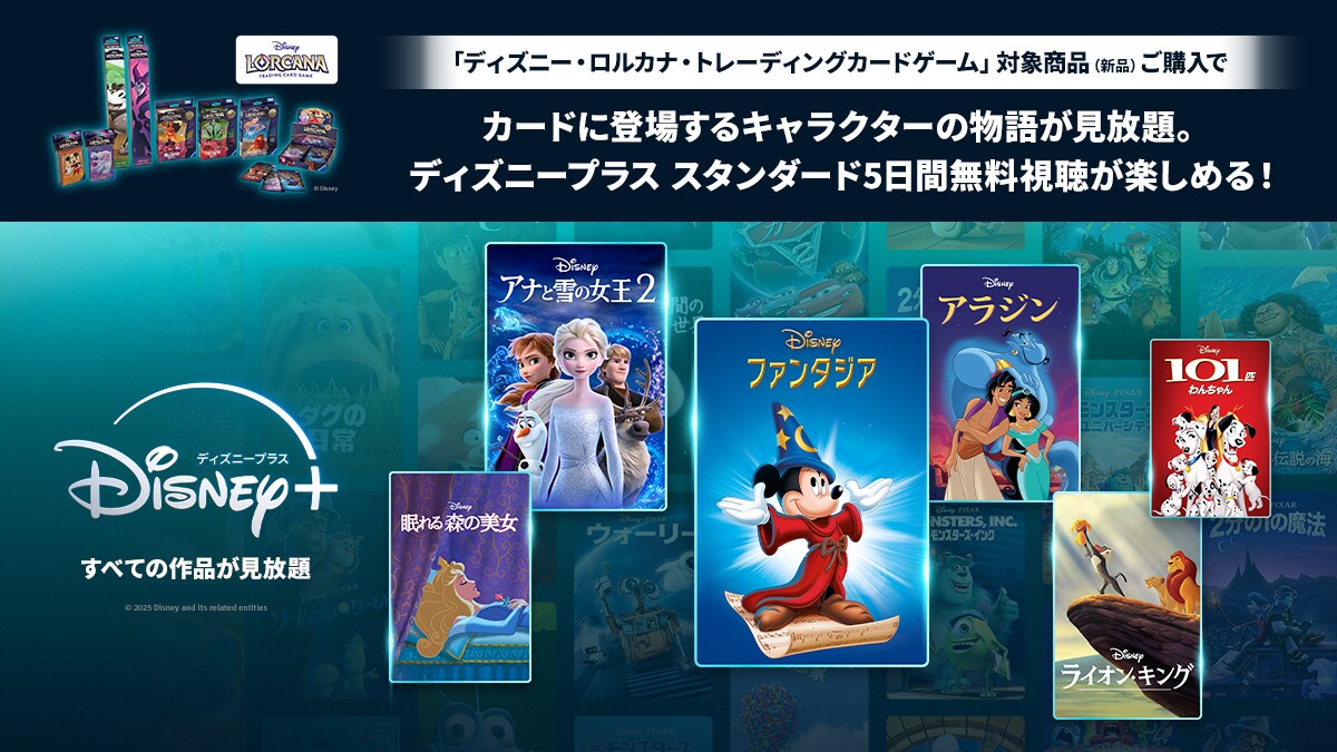 最終値下　ディズニー　ロルカナ　コレクターズエディション　海外限定　100周年記 最終値下 ディズニー ロルカナ コレクターズエディション 海外