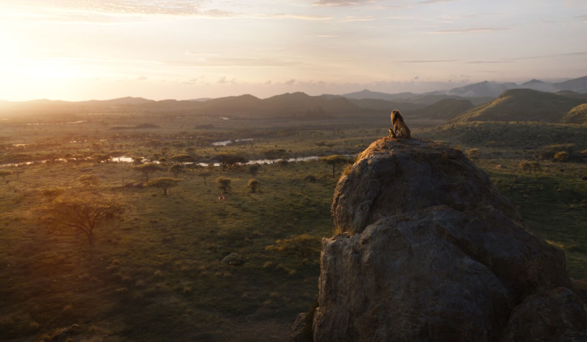 Simba and Mufasa survey pridelands