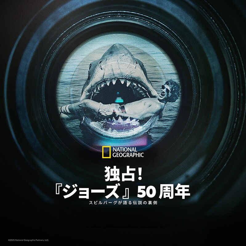 音楽：ジョン・ウィリアムス／監督：スティーヴン・スピルバーグ／映画『ジョーズ』 ジョーズ」「スター・ウォーズ」…作曲家ジョン・ウィリアムズの