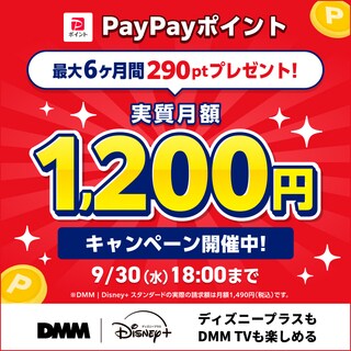 お得なキャンペーン／特典｜Disney+ (ディズニープラス) 公式