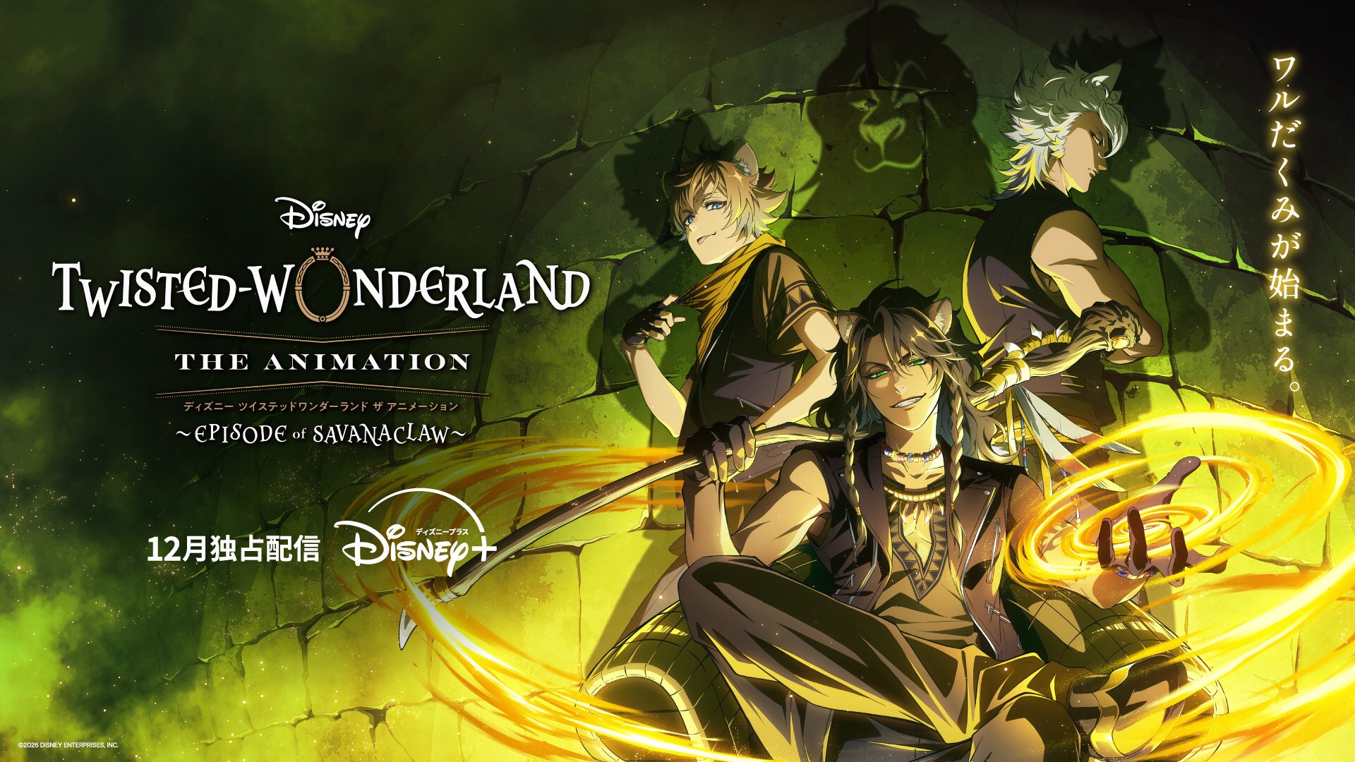 Disney - ディズニー ツイステッドワンダーランド（ツイステ） ディズニー ツイステッドワンダーランド ザ アニメーション