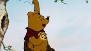 Pooh's Balloon