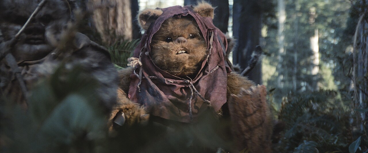 An Ewok on Endor