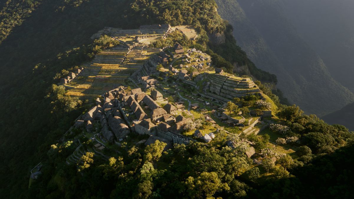 Grudzień na kanałach National Geographic, National Geographic Wild i Nat Geo People 
