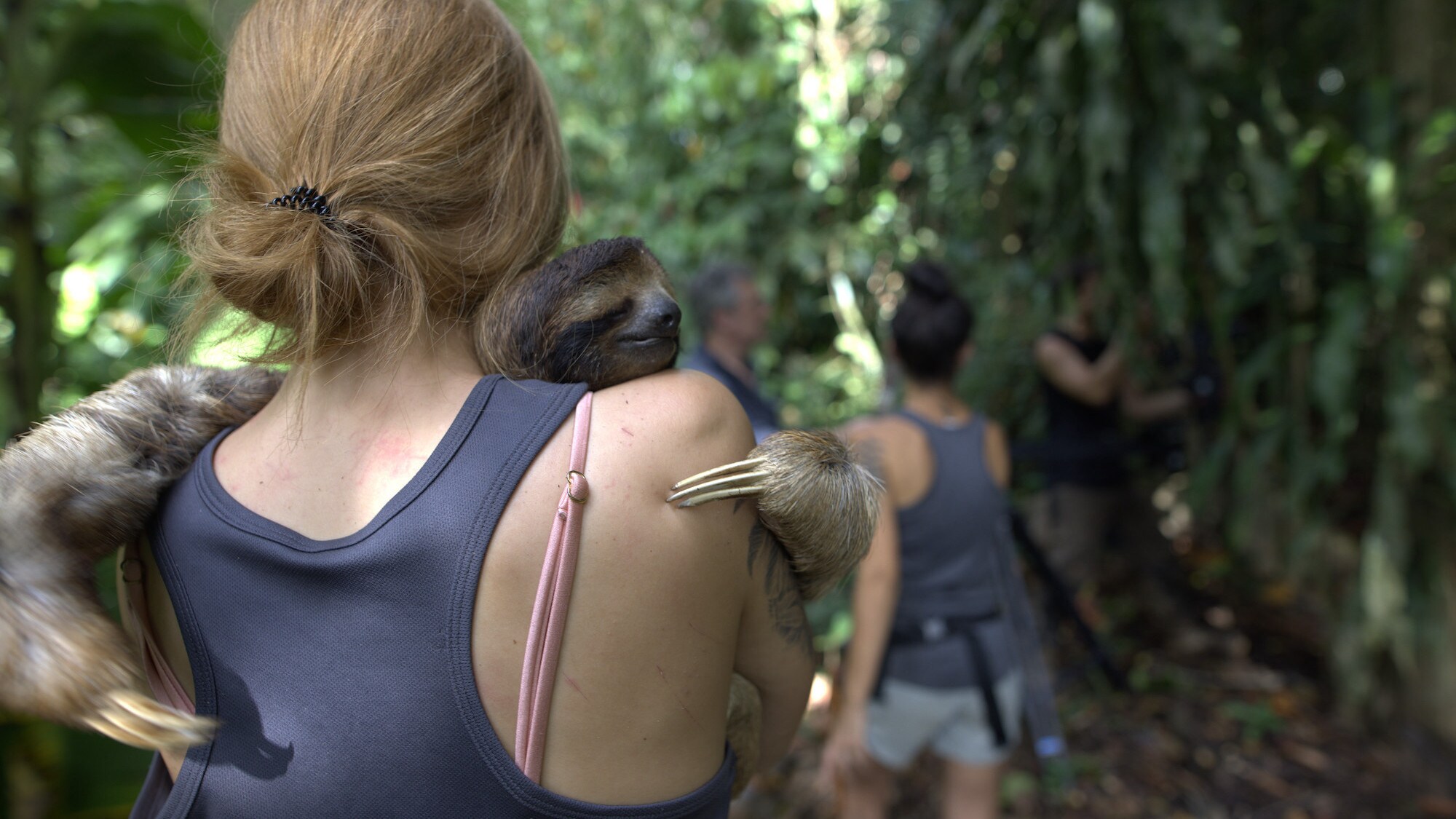 Sloth scientist and CEO of Sloth Conservation Foundation Dr. Becky Cliffe prepares for the release of a rescue sloth in Puerto Viejo, Costa Rica during the "Welcome to the Jungle" episode of “A Real Bug’s Life.” (National Geographic/Alex Jones)