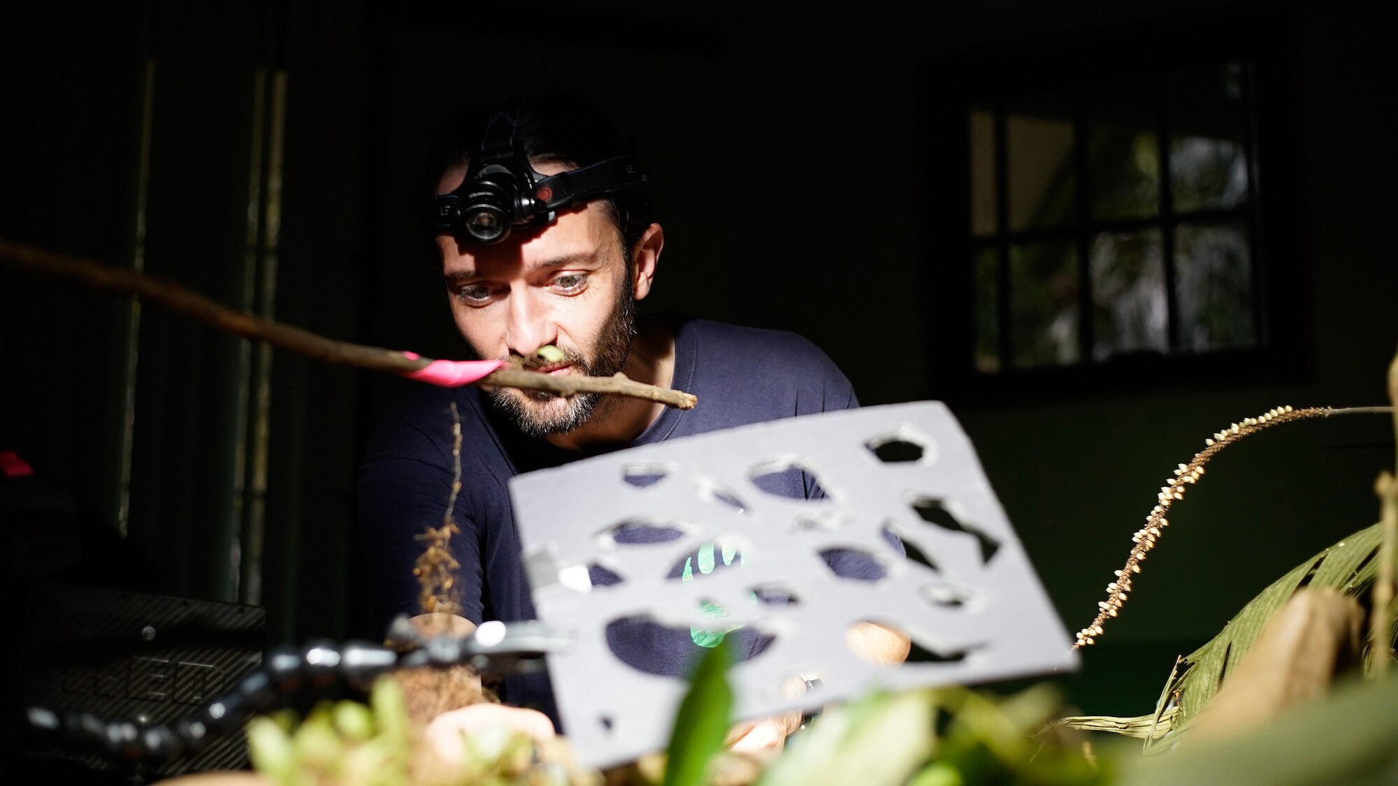 Bug wrangler Tim Cockerill works in the studio during a shoot in Costa Rica for the "Welcome to the Jungle" episode of “A Real Bug’s Life.” (National Geographic/Amy Gilchrist)