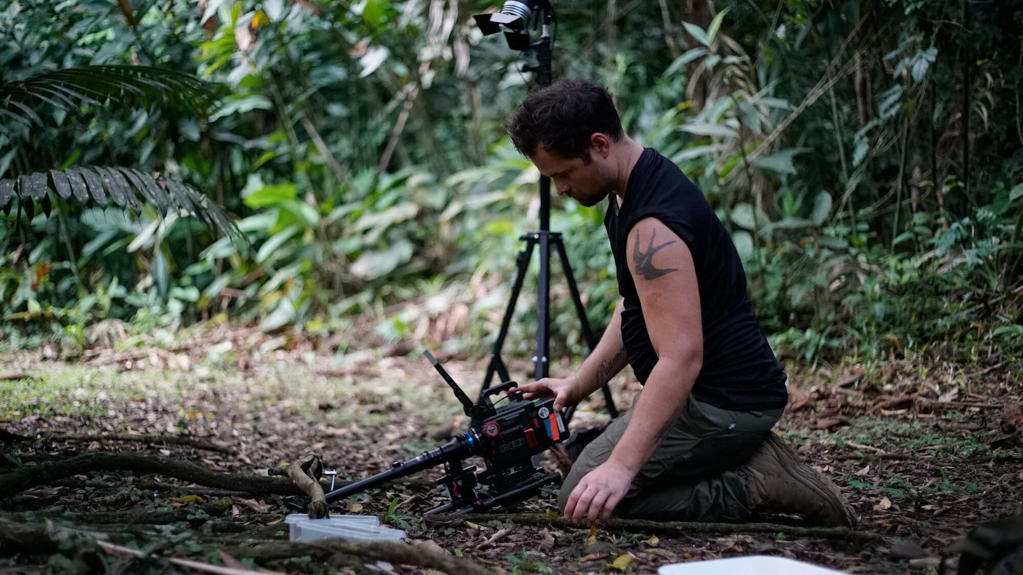 Director of Photography Alex Jones films army ants and an elephant beetle in Costa Rica for the "Welcome to the Jungle" episode of “A Real Bug’s Life.” (National Geographic/Amy Gilchrist)