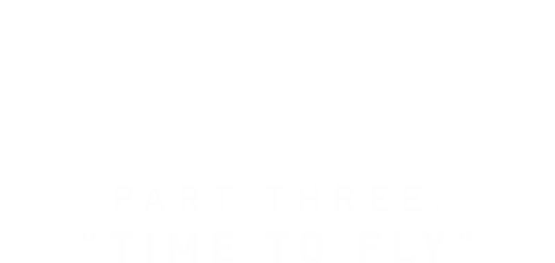 Ahsoka Part Three - Time to Fly
