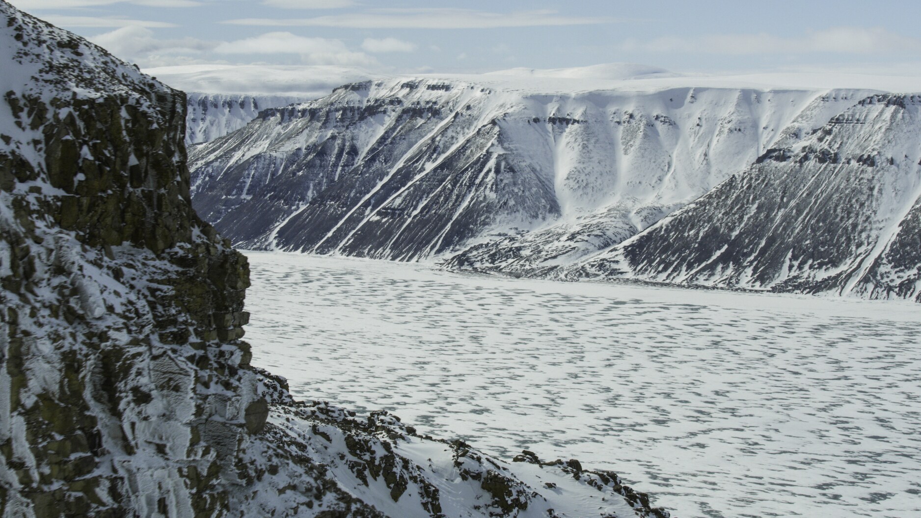 The inlets along the islands of the Canadian Arctic are important summering grounds for belugas and narwhals. Some travel almost a thousand miles from the west coast of Greenland to reach here. (National Geographic for Disney+/Thomas Miller)