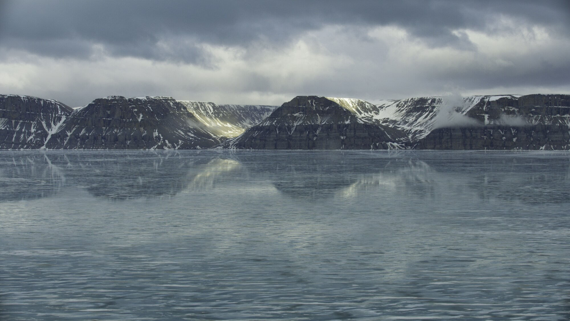 The inlets along the islands of the Canadian Arctic are important summering grounds for belugas and narwhals. Some travel almost a thousand miles from the west coast of Greenland to reach here. (National Geographic for Disney+/Thomas Miller)