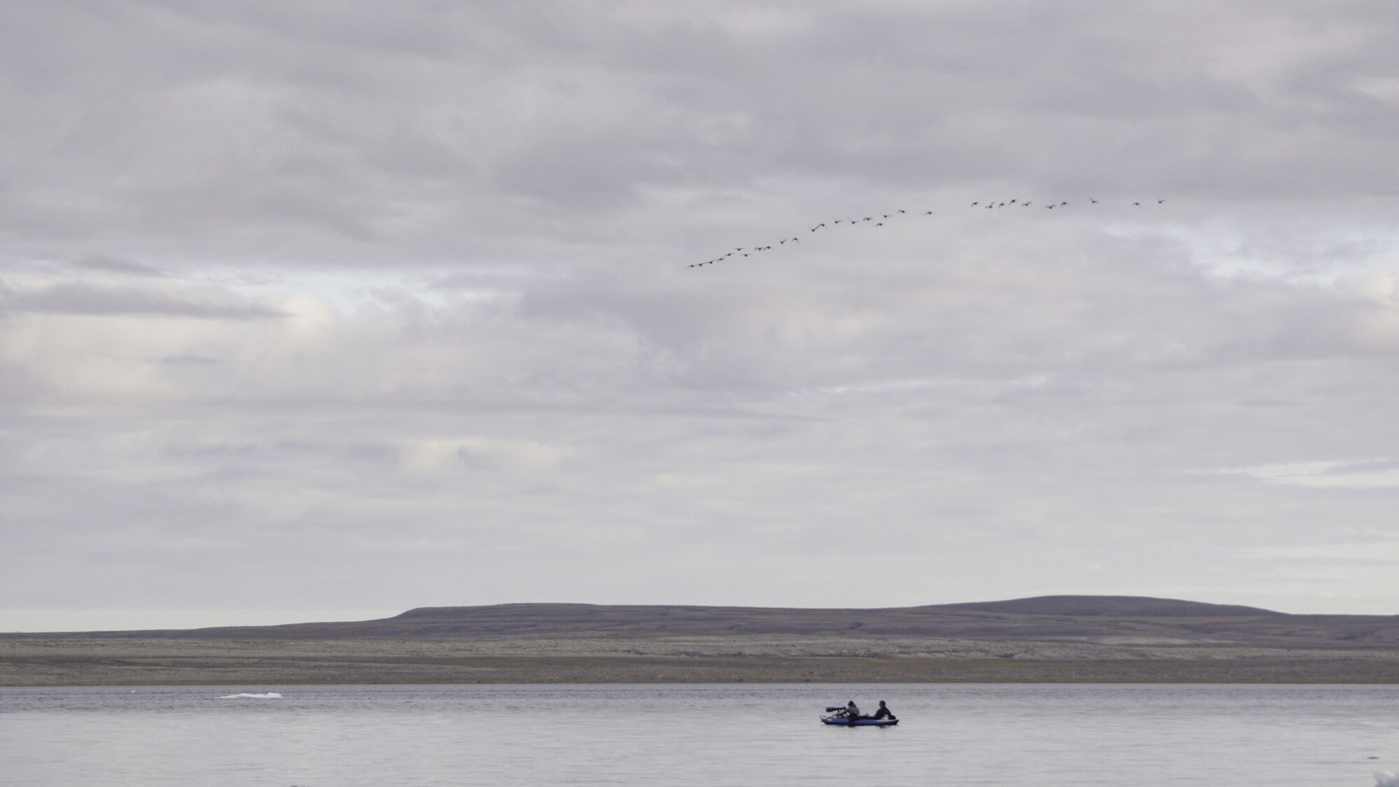 National Geographic photographer Brain Skerry uncovers a beluga nursery on remote Somerset Island. (National Geographic for Disney+/Alexander Sletten)