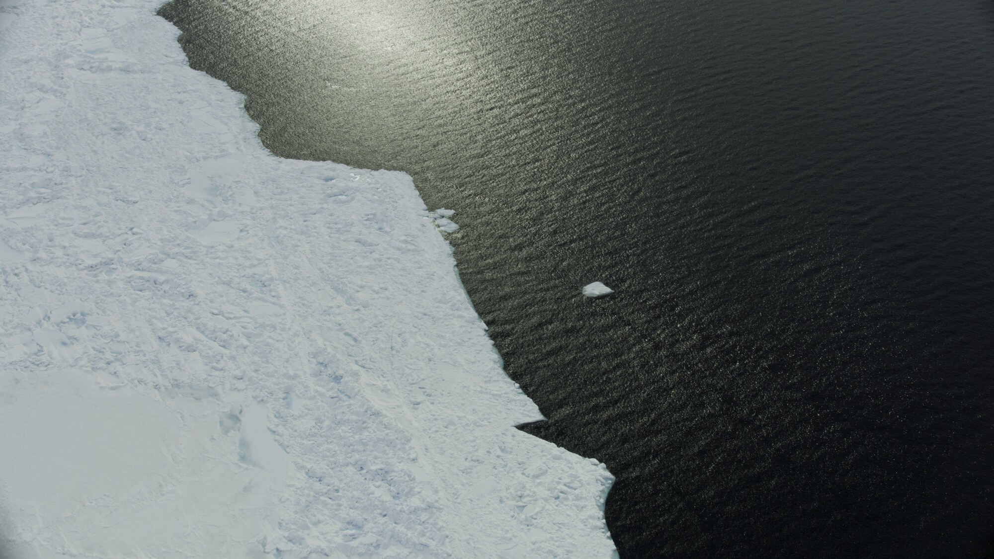 The floe edge, or "Sinaaq" in Inuktitut, is where open water meets the ice still attached to the shoreline. (National Geographic for Disney+/Thomas Miller)