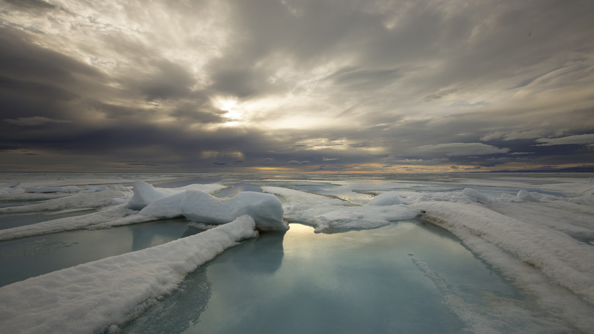 Narwhals and belugas navigate a maze of pathways through the sea ice that can open and close in a matter of hours. On the surface, pressure ridges form when ice floes smash together - creating a new landscape overnight. (National Geographic for Disney+/Sam LeGrys)