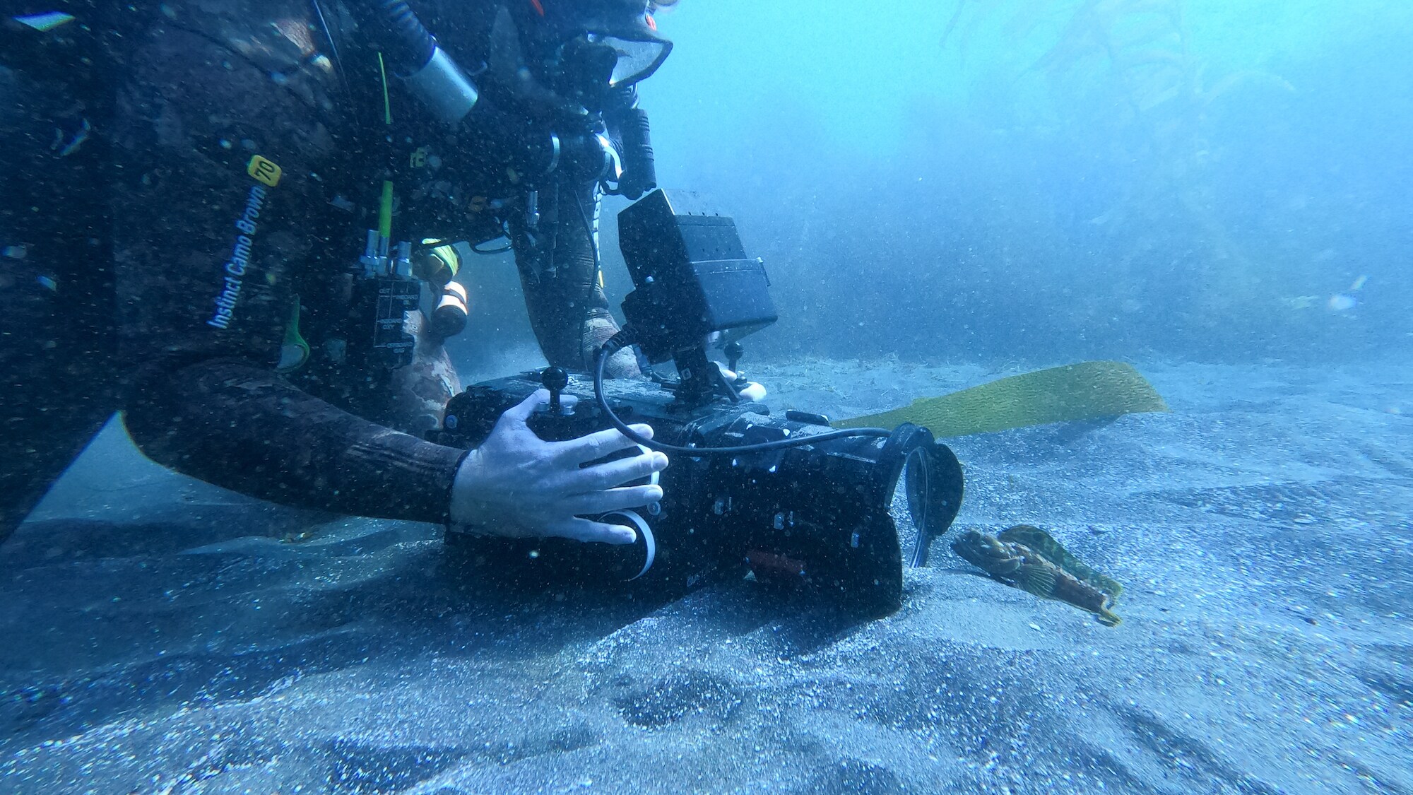 Underwater cameraman filming sarcastic fringehead.  (National Geographic for Disney+/Jeff Hester)