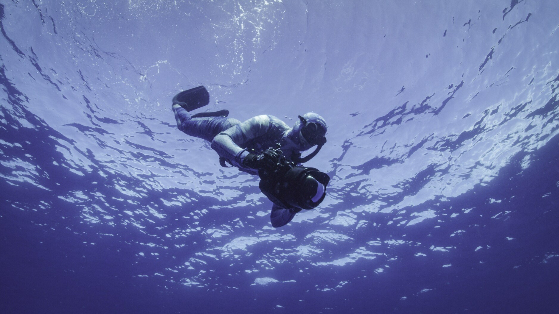 National Geographic photographer Brian Skerry spent three years documenting the cultural lives of whales. (National Geographic for Disney+/Luis Lamar)