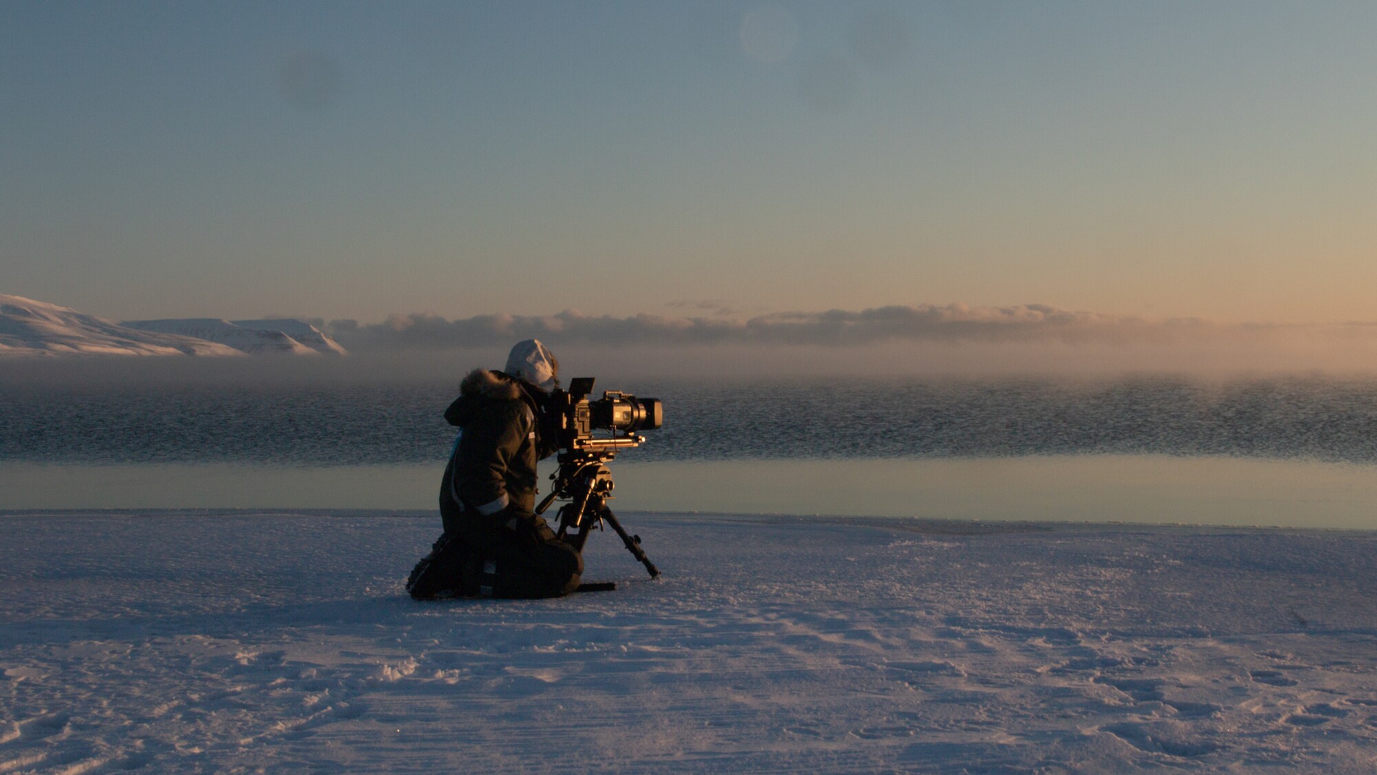 Torgeir Beck Lande filming polar bears in Svalbard.  (National Geographic for Disney+/Torgeir Beck Lande)