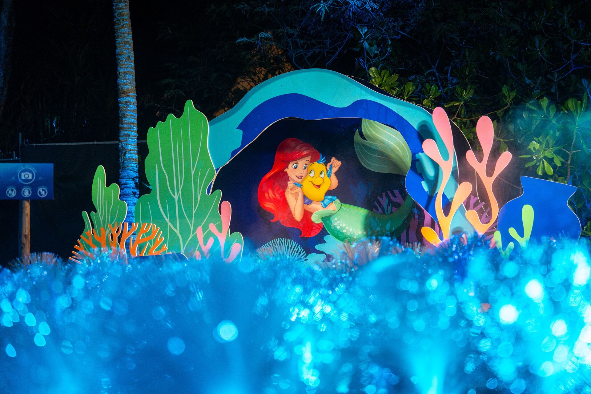 Disney Discovery Reef at The Southernmost Point of Continental Asia