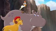 Follow that Hippo!