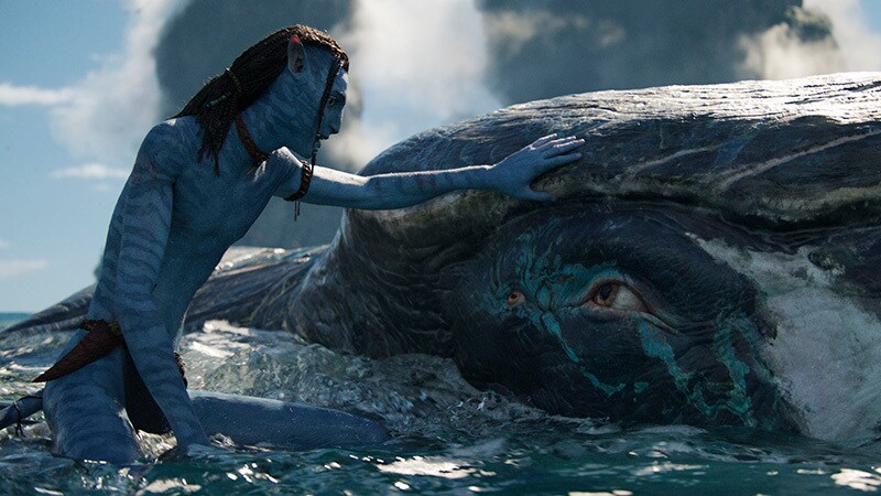『アバター：ウェイ・オブ・ウォーター』参加型キャンペーン【Keep Our Oceans Amazingわたしたちの素晴らしい海を未来に残そう】開始！特別映像も解禁！