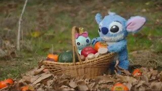 スティッチ フォトフレーム｜ダウンロード｜ディズニーキッズ公式