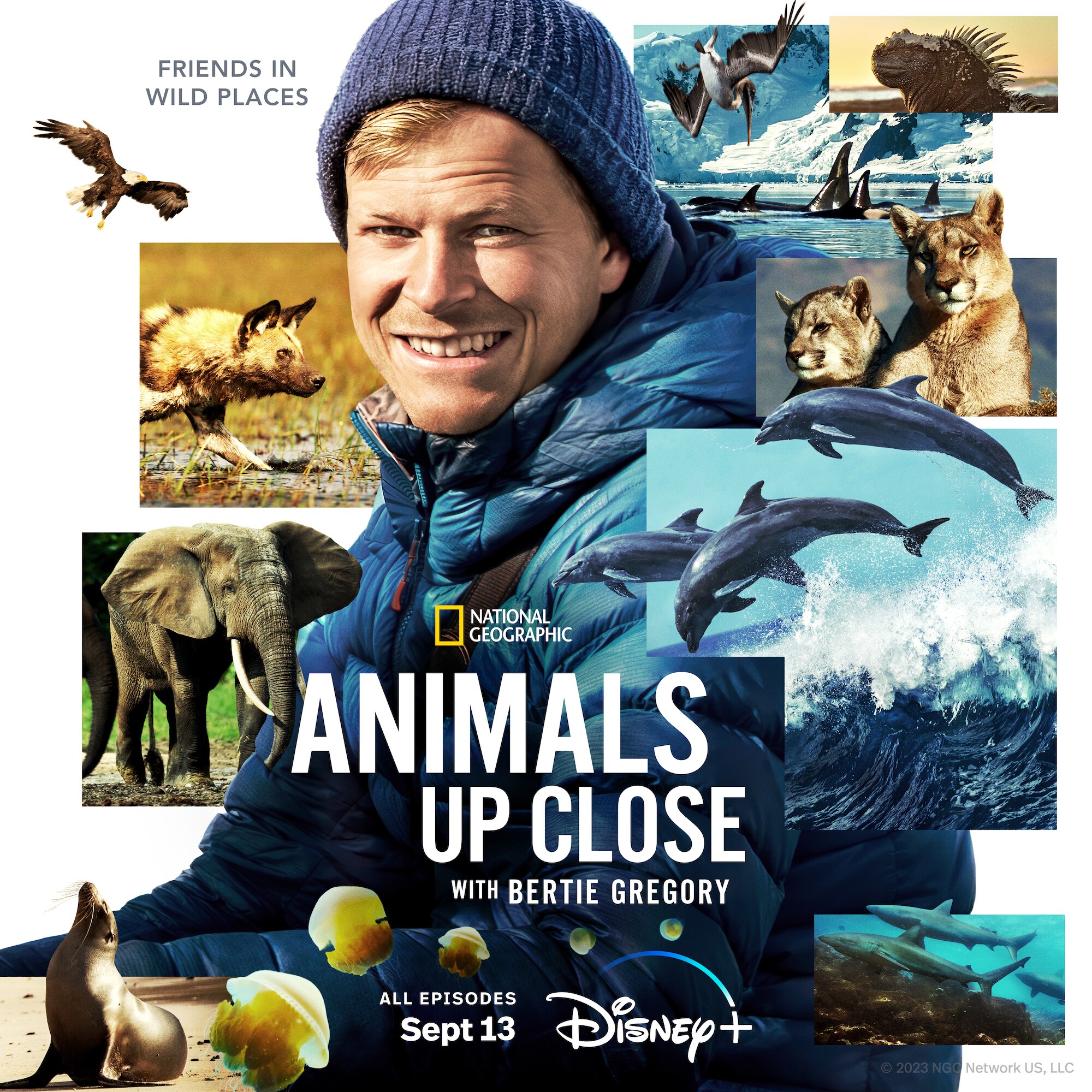 Logos and Key Art | Disney Plus Press