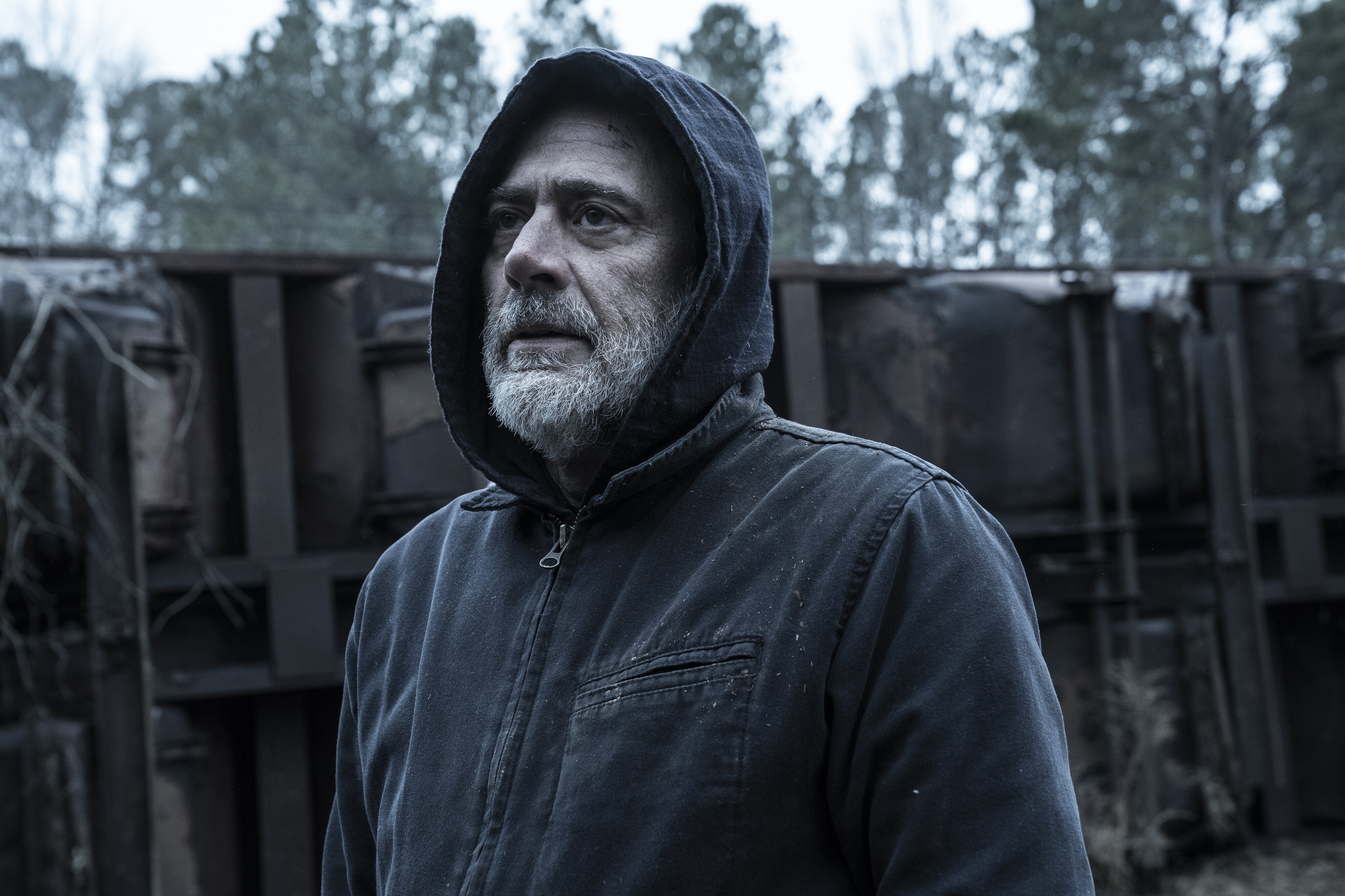The Walking Dead The Walking Dead