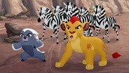 The Mbali Fields Migration
