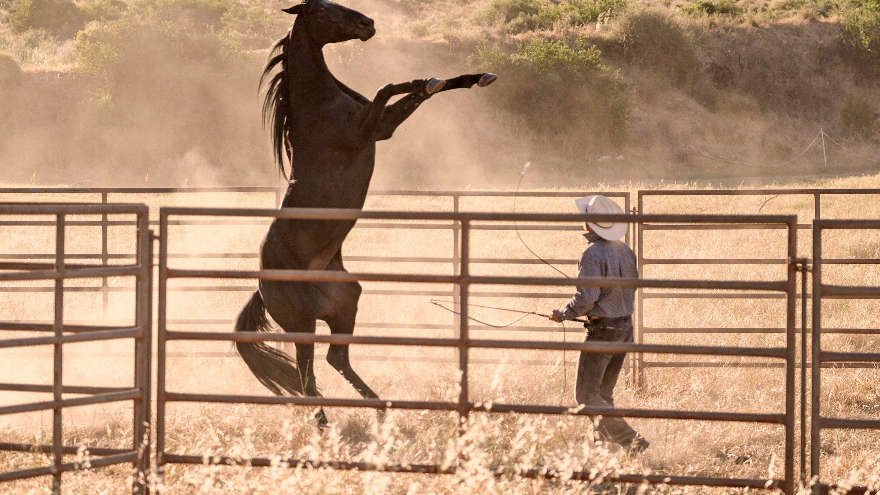 BLACK BEAUTY - A wild horse and a teenage girl forge an unbreakable bond which keeps them connected for a lifetime. (Disney/Graham Bartholomew) BLACK BEAUTY