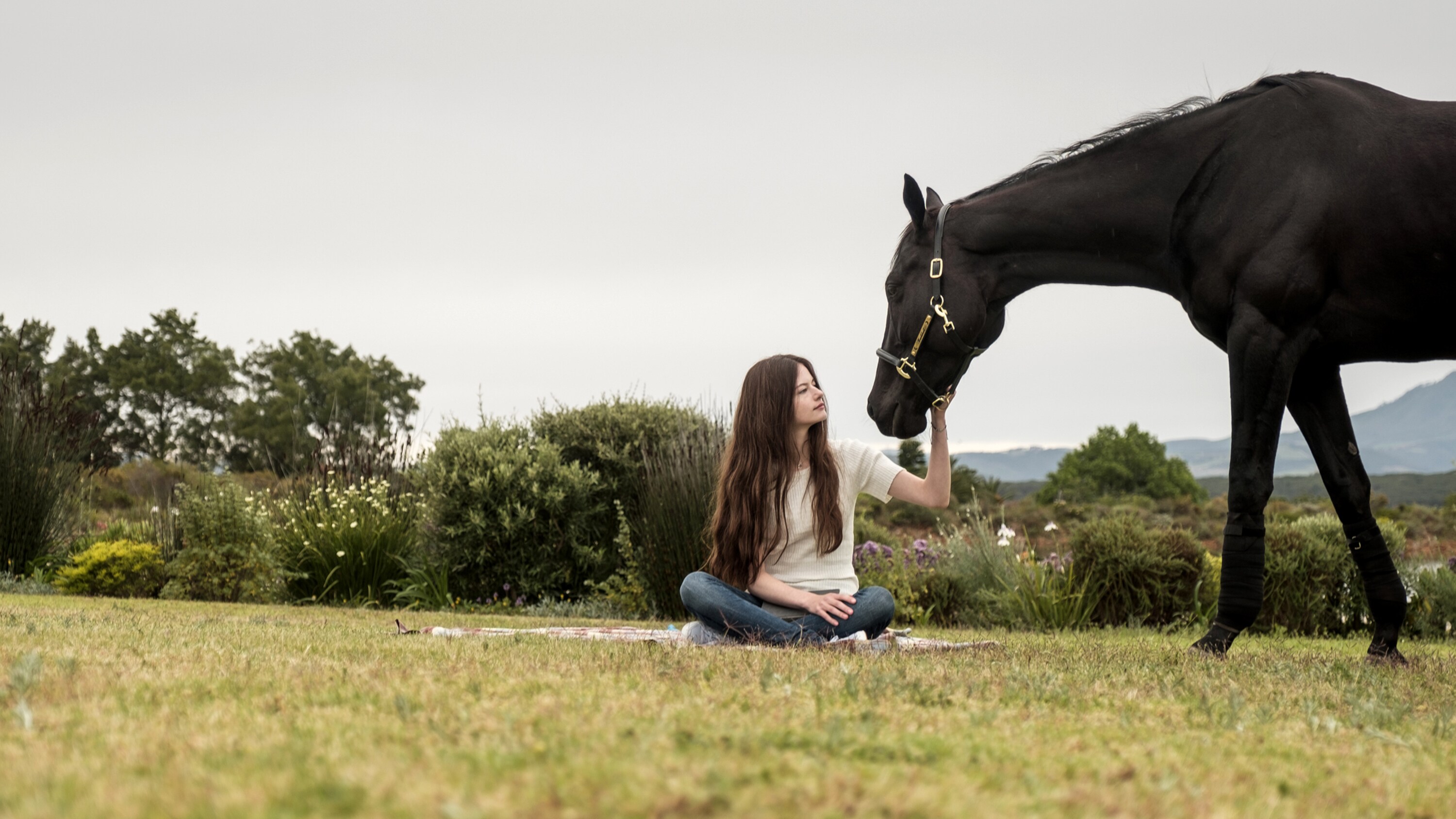 BLACK BEAUTY - A wild horse and a teenage girl forge an unbreakable bond which keeps them connected for a lifetime. (Disney/Graham Bartholomew) MACKENZIE FOY, BLACK BEAUTY