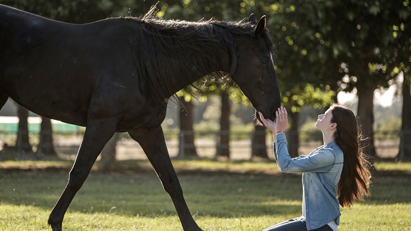 BLACK BEAUTY - A wild horse and a teenage girl forge an unbreakable bond which keeps them connected for a lifetime. (Disney/Graham Bartholomew) BLACK BEAUTY, MACKENZIE FOY