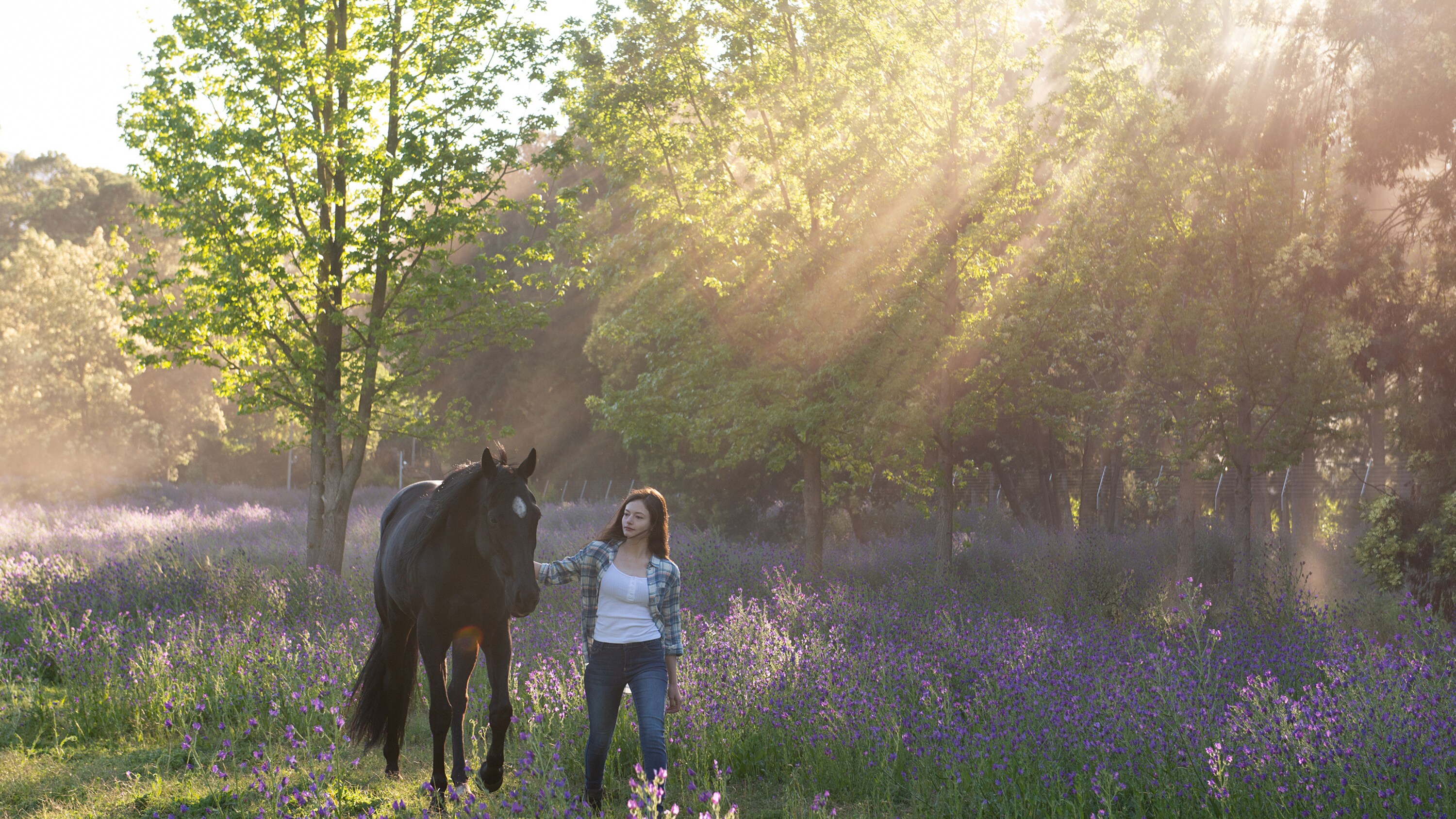 BLACK BEAUTY - A wild horse and a teenage girl forge an unbreakable bond which keeps them connected for a lifetime. (Disney/Graham Bartholomew) BLACK BEAUTY, MACKENZIE FOY