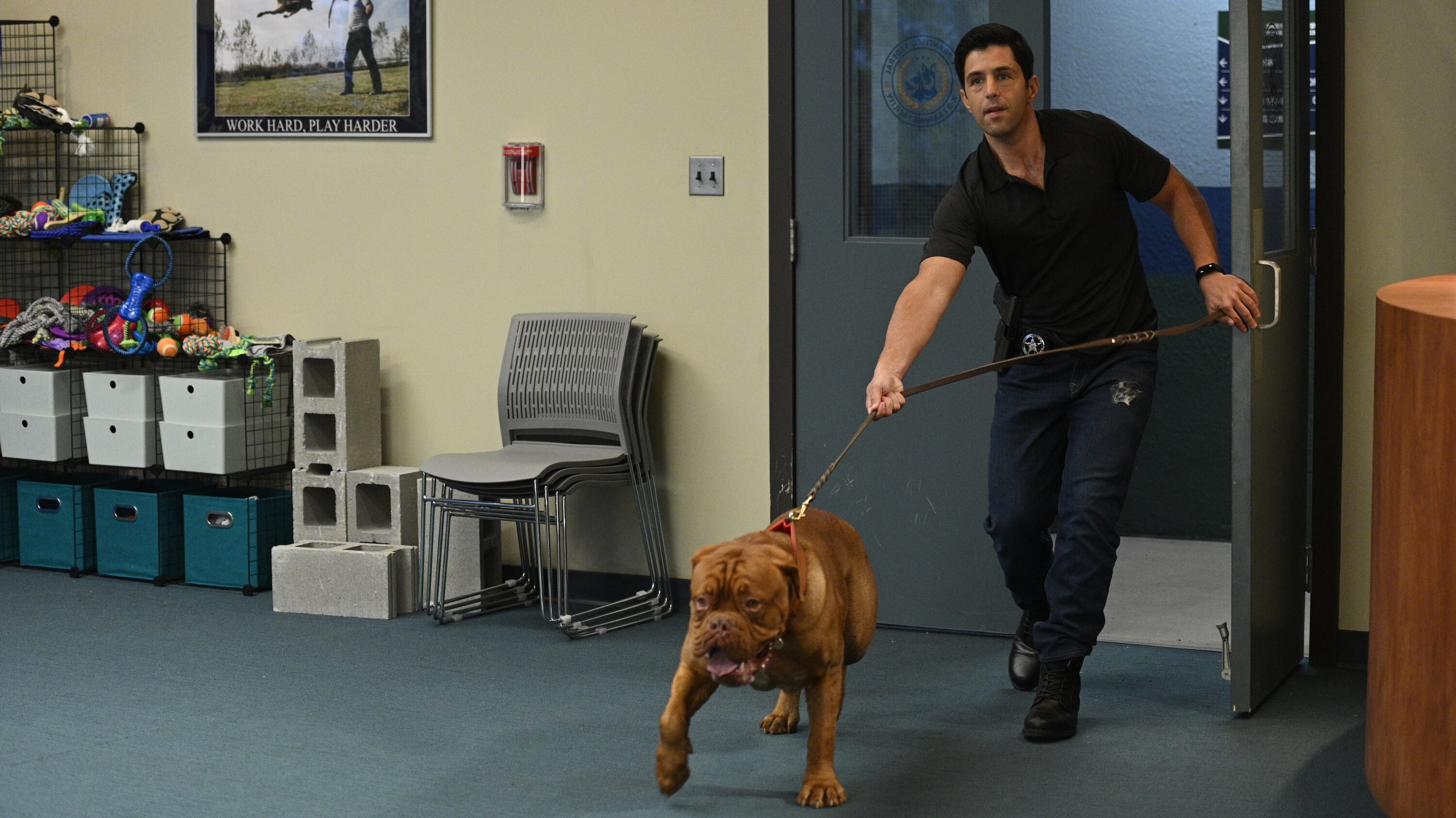 TURNER & HOOCH - "Forever and a Dog" (Disney/Farah Nosh) JOSH PECK