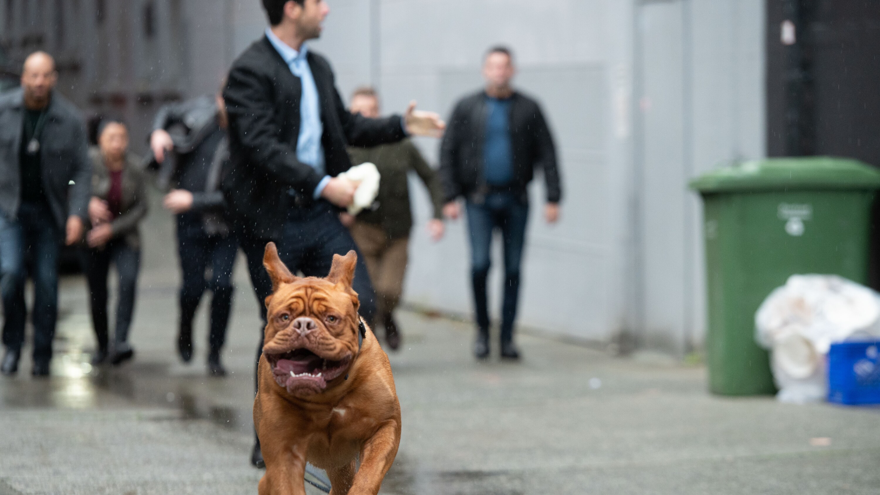 TURNER & HOOCH - "Diamonds are Furever" (Disney/Farah Nosh) TURNER & HOOCH