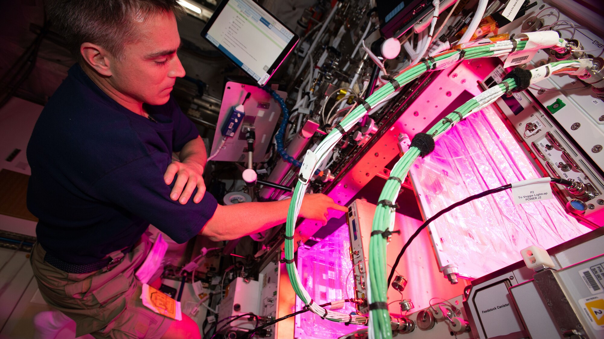 AMONG THE STARS -  (April 29, 2020) - NASA astronaut and Expedition 63 Commander Chris Cassidy cleans botany research hardware after growing lettuce and mizuna greens inside the Columbus laboratory module. The Veggie PONDS (passive orbital nutrient delivery system) research facility seeks to demonstrate growing vegetables in space to support future crews on long-term missions. (NASA) CHRIS CASSIDY