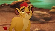 Never Roar Again