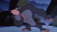 Apes of Wrath