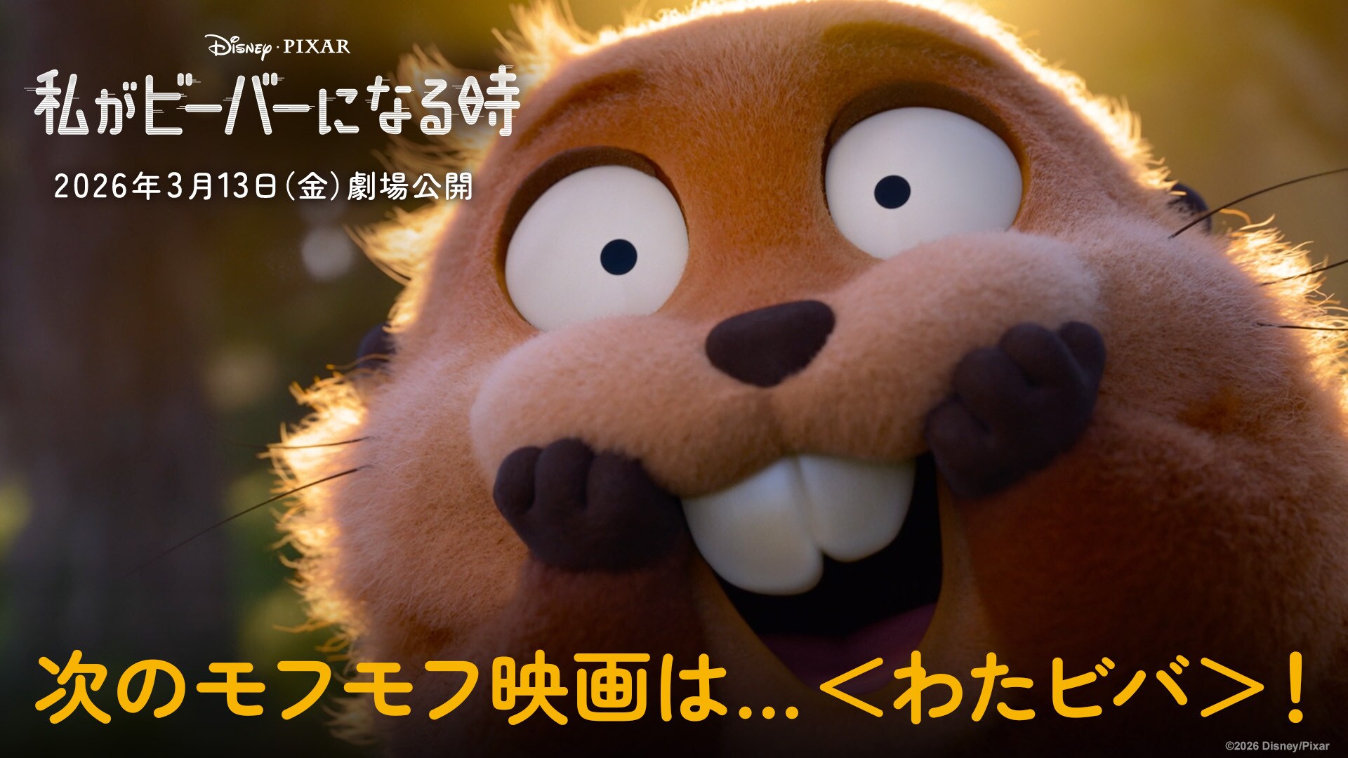 私がビーバーになる時』公開記念 もふもふはズーっと続くよキャンペーン