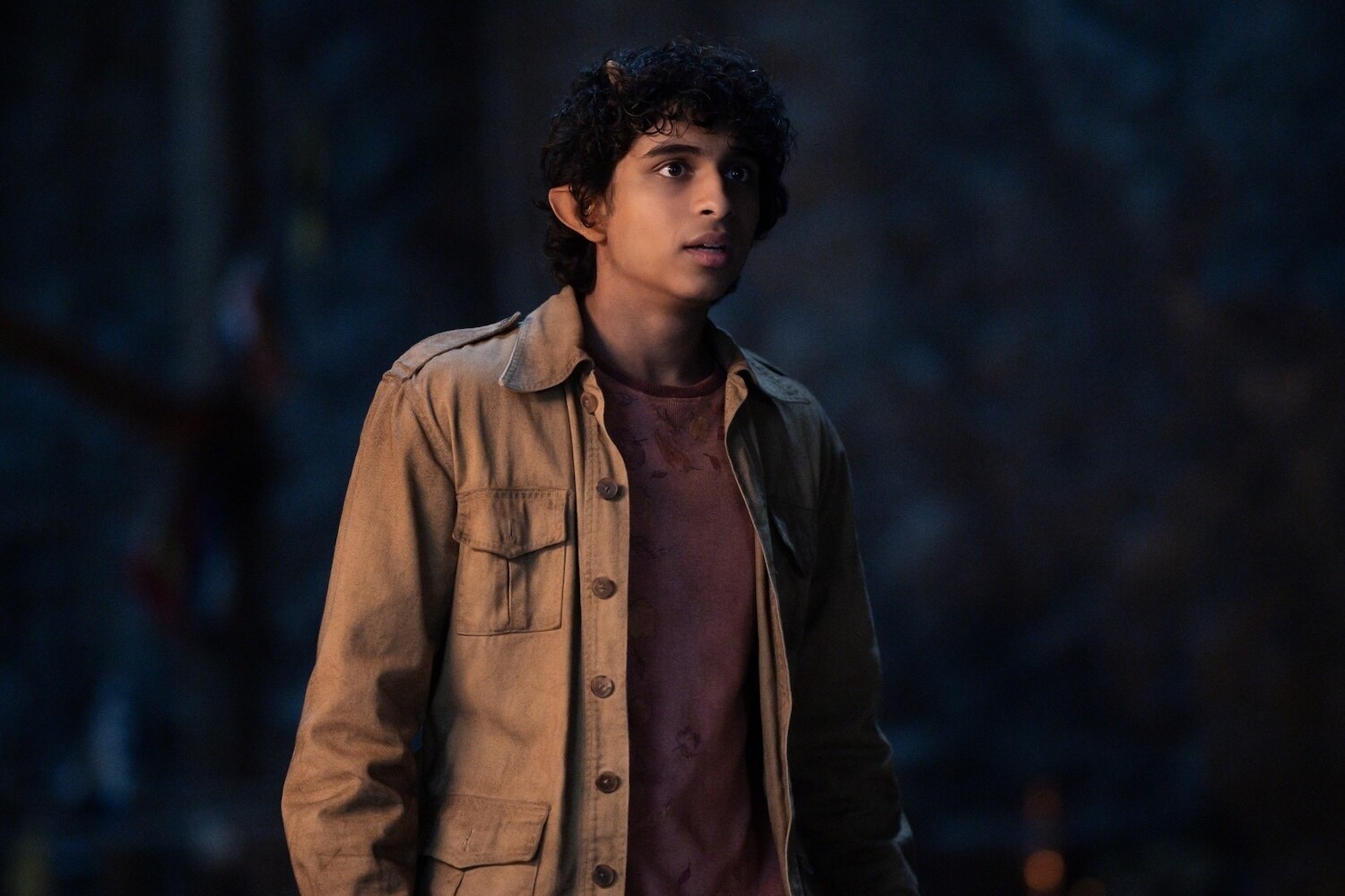 PERCY JACKSON AND THE OLYMPIANS - "Episode 206" (Disney/David Bukach) ARYAN SIMHADRI