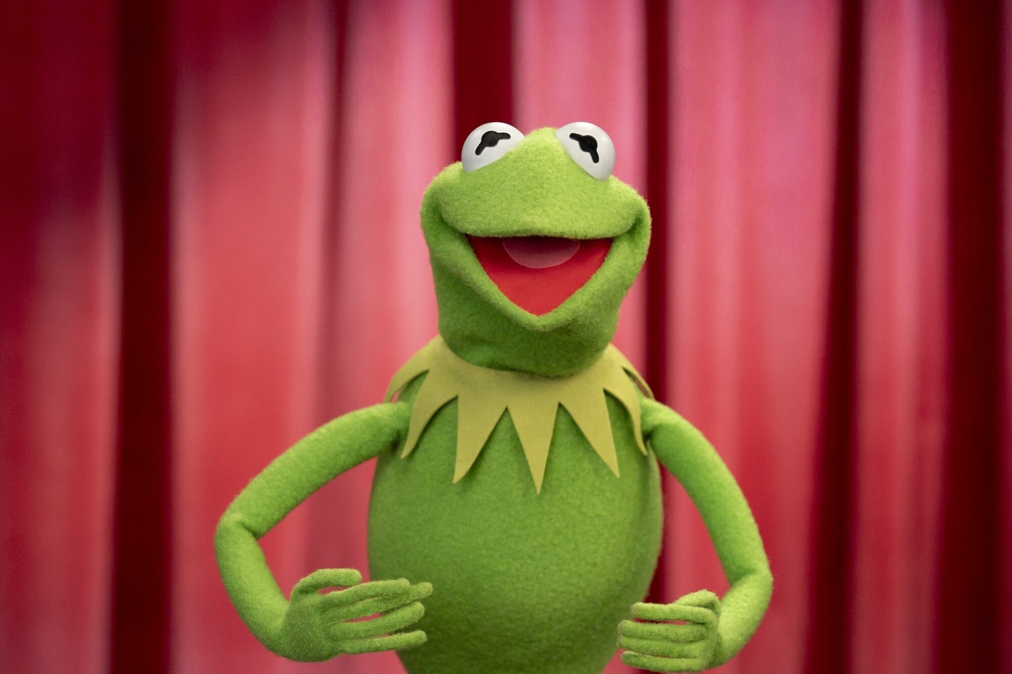 THE MUPPETS SHOW SPECIAL - (Disney/Mitch Haaseth) KERMIT