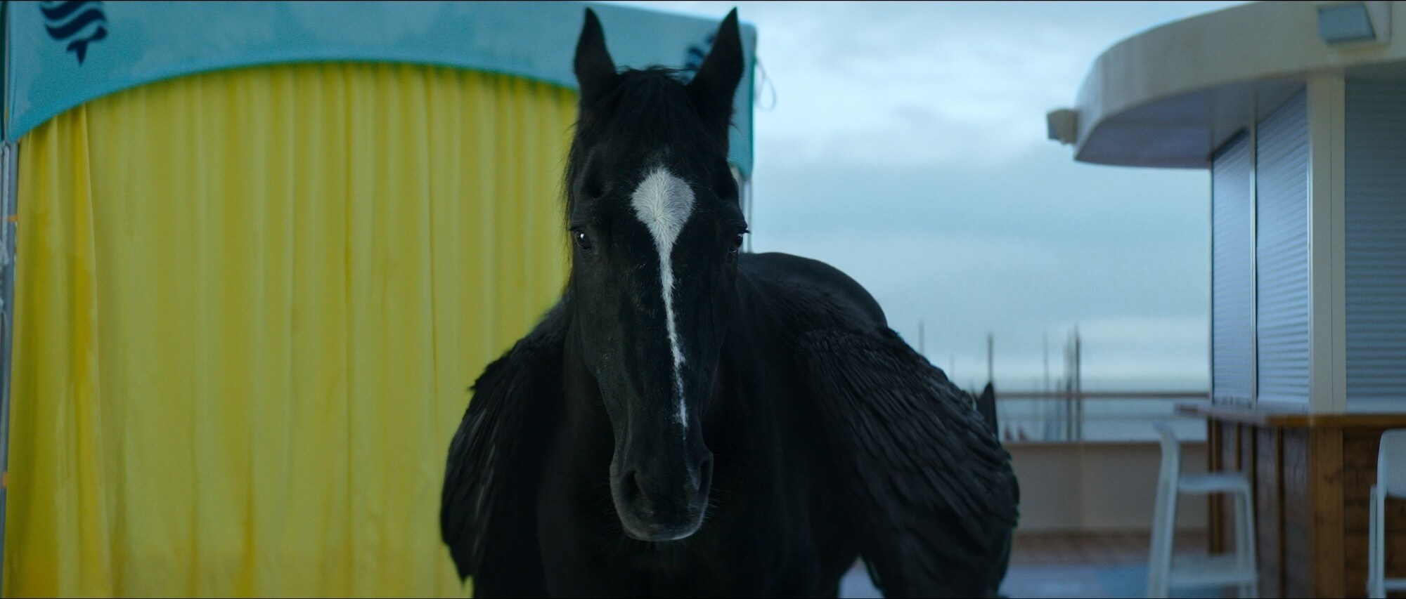 PERCY JACKSON AND THE OLYMPIANS - "Episode 207” (Disney) PERCY JACKSON AND THE OLYMPIANS