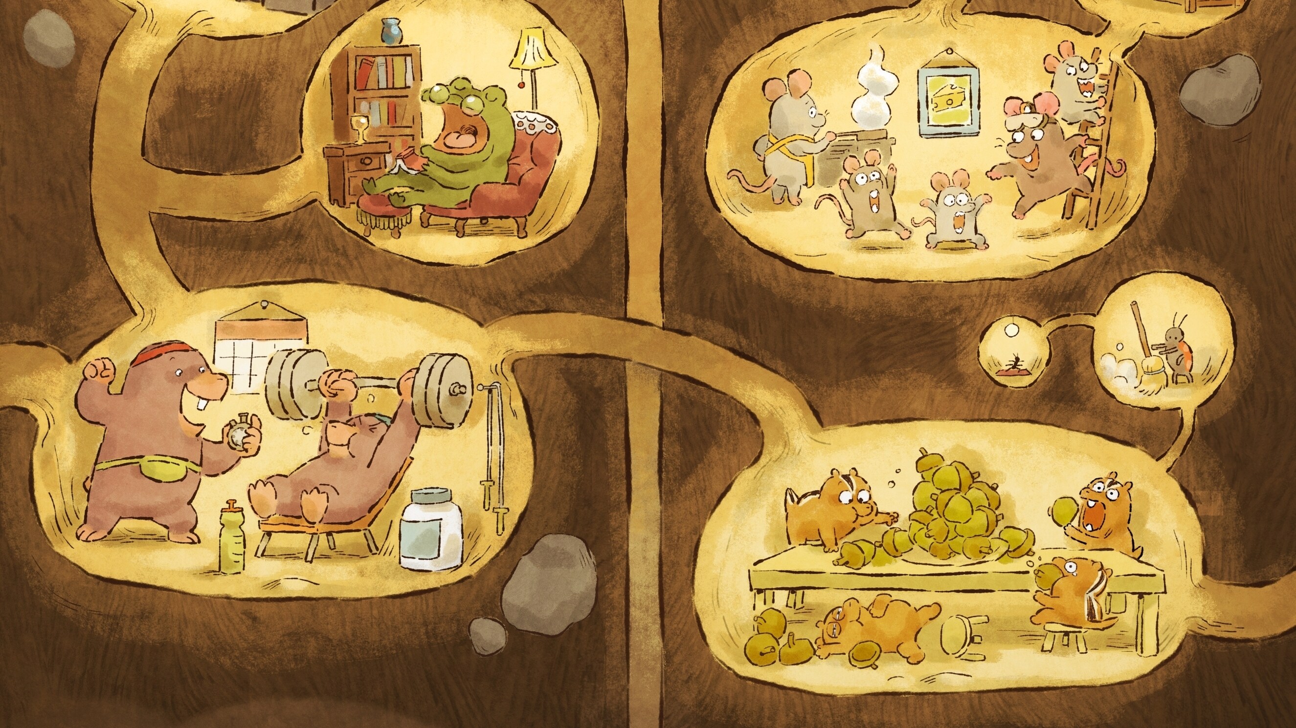 Burrow Dmed Media Burrow Dmed Media