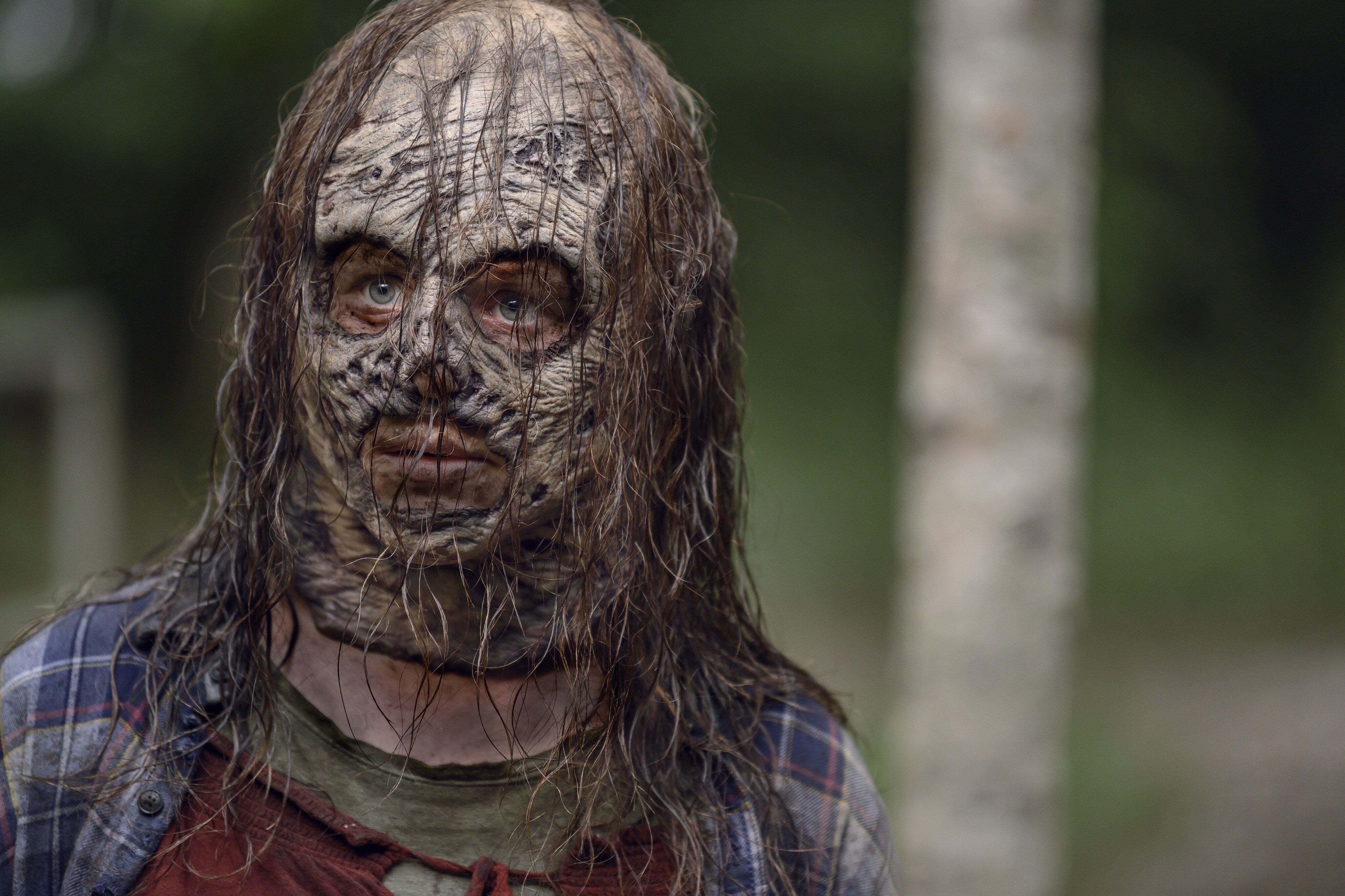 The walking dead