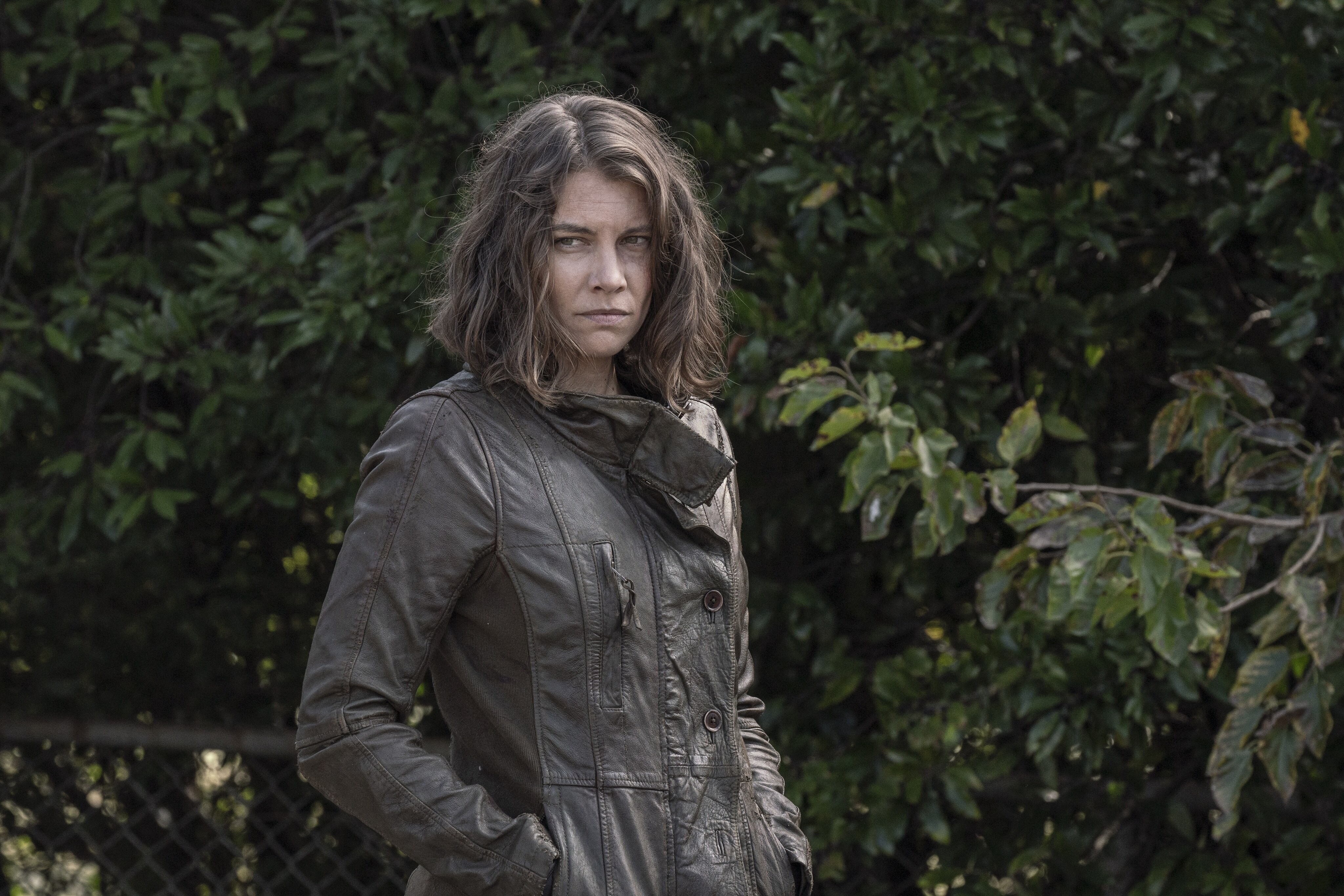 The Walking Dead The Walking Dead