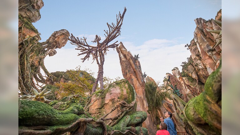 「パンドラ：ザ・ワールド・オブ・アバター」想像を超えた世界へ (フロリダ)