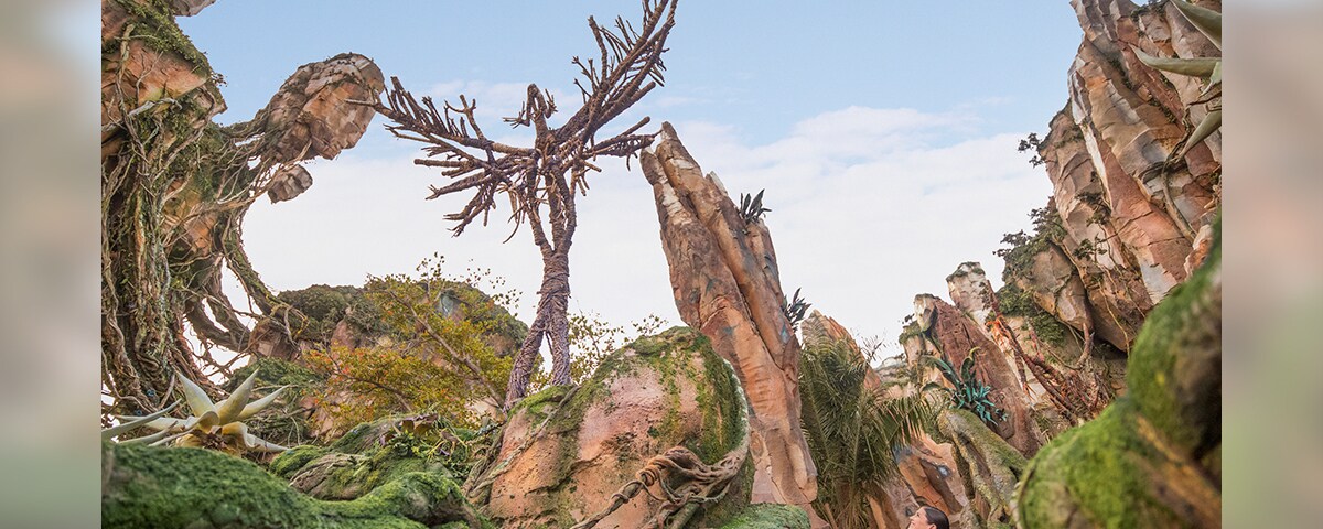 パンドラ：ザ・ワールド・オブ・アバター」想像を超えた世界へ (フロリダ)