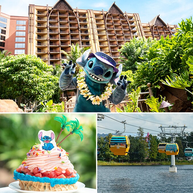 2621 海外ディズニーランドアナハイムキャストカヌーレースリロ