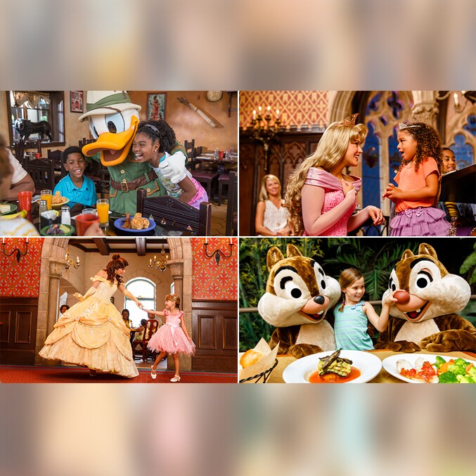フロリダ ウォルト・ディズニー・ワールド・リゾートで楽しめる