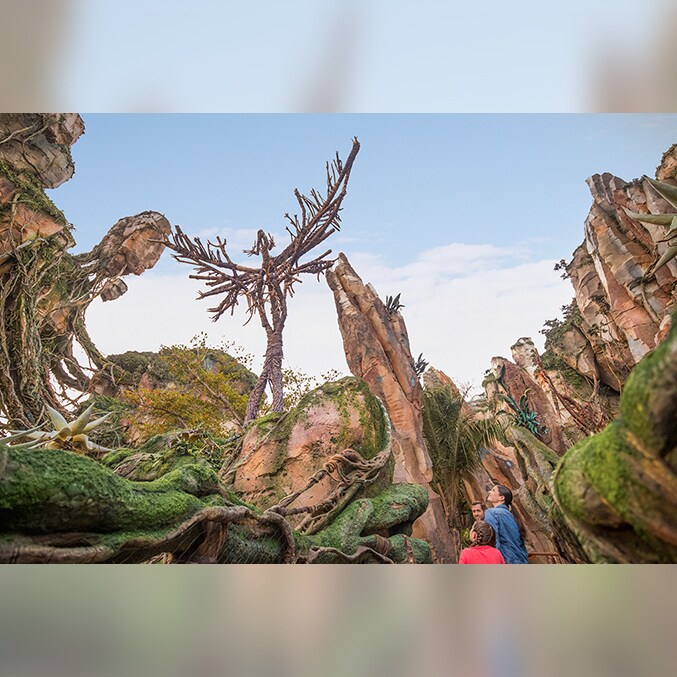 パンドラ：ザ・ワールド・オブ・アバター」想像を超えた世界へ (フロリダ)